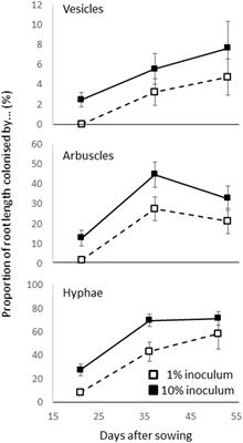 Spatial Effects and GWA Mapping of Root Colonization Assessed in the Interaction Between the Rice Diversity Panel 1 and an Arbuscular Mycorrhizal Fungus